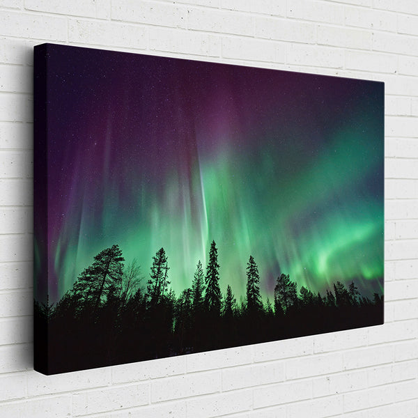 T87ZL Aurora Borealis: Polar Lights Over Dark Trees