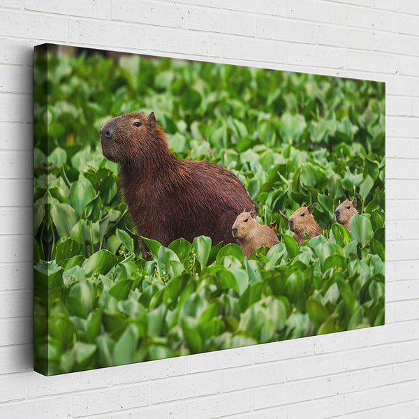 ZTB3L Animal Kingdom: Capybara