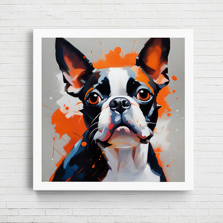 2U9O4 Colorful Canine Portraits: Boston Terrier II - Sightly Prints