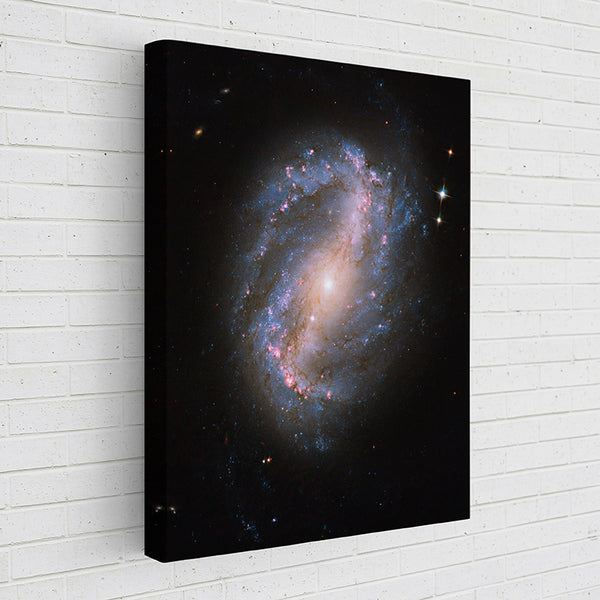 IF785 Barred spiral galaxy NGC 6217