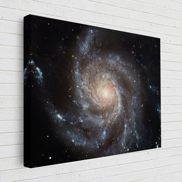 L0XIS Largest ever galaxy portrait