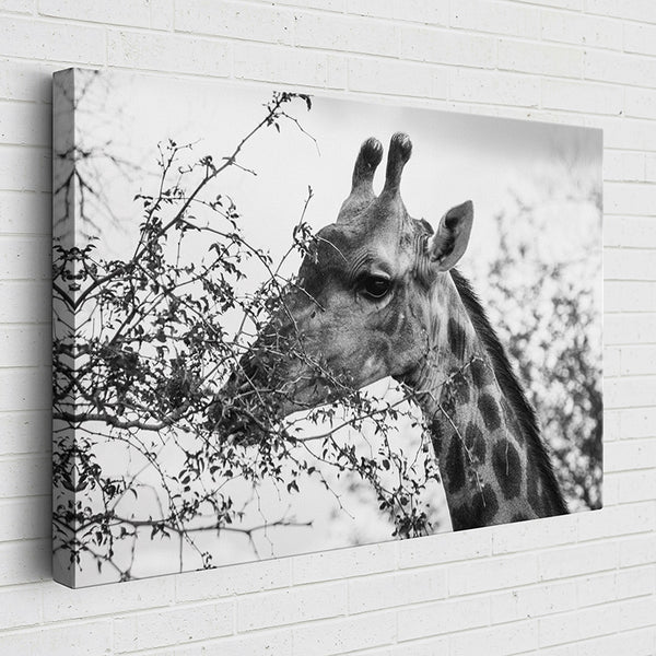 0J12V Travel Series-Kruger National Park I - Sightly Prints