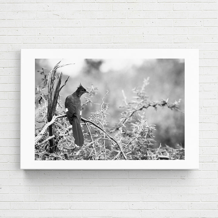 5GM39 Travel Series-Kruger National Park II - Sightly Prints