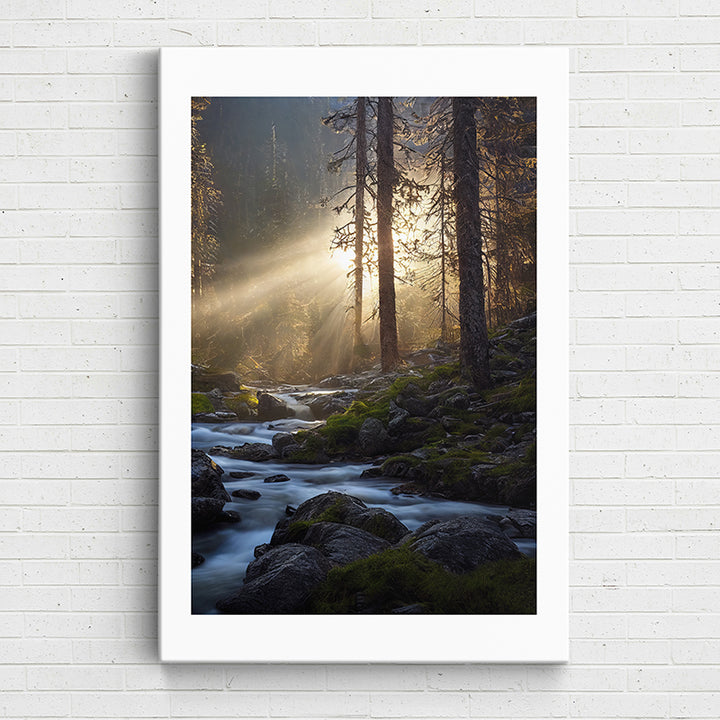 3W4XI Peaceful Streams II - Sightly Prints